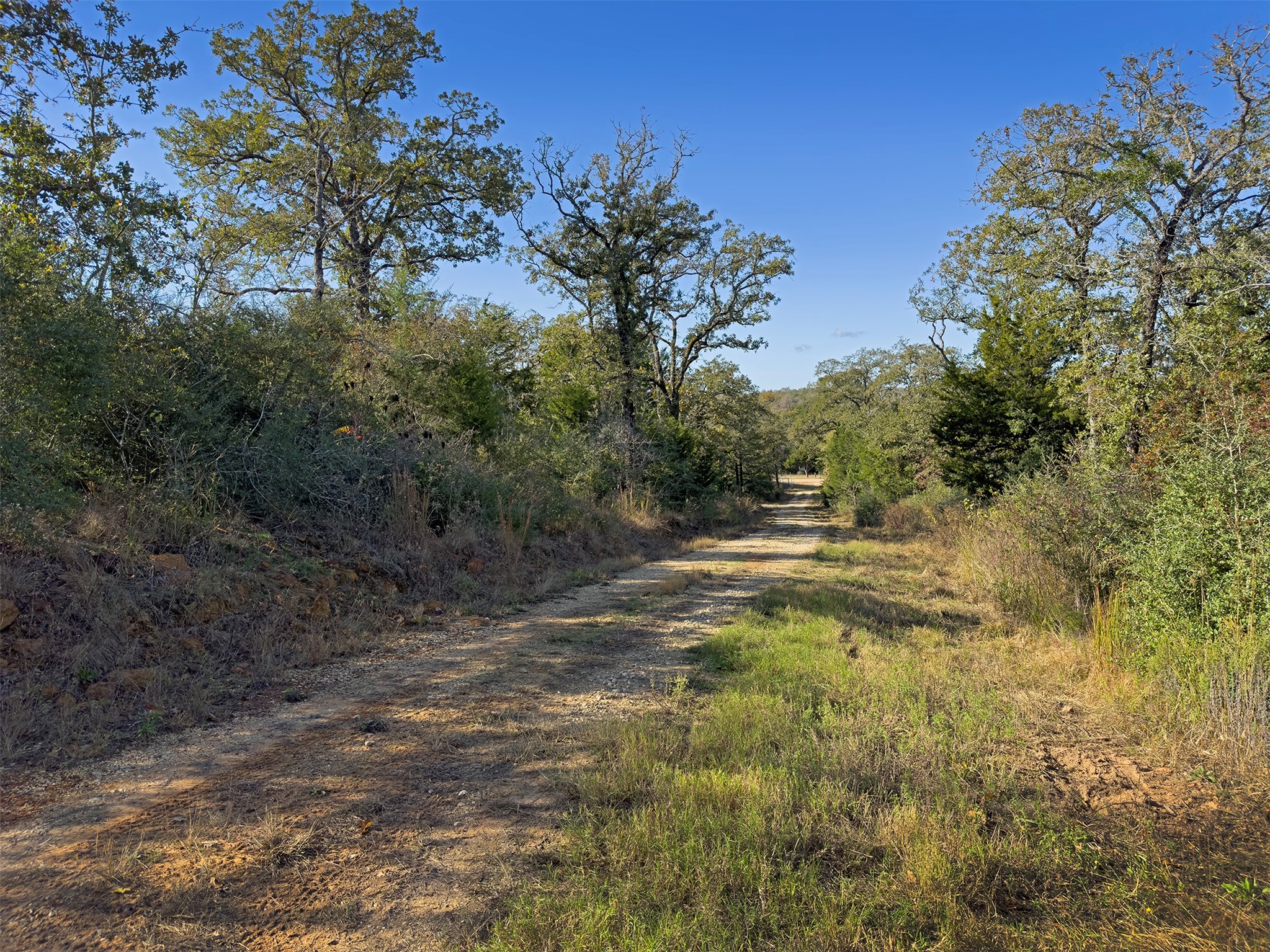 10429 County Road 313 Property Photo 5