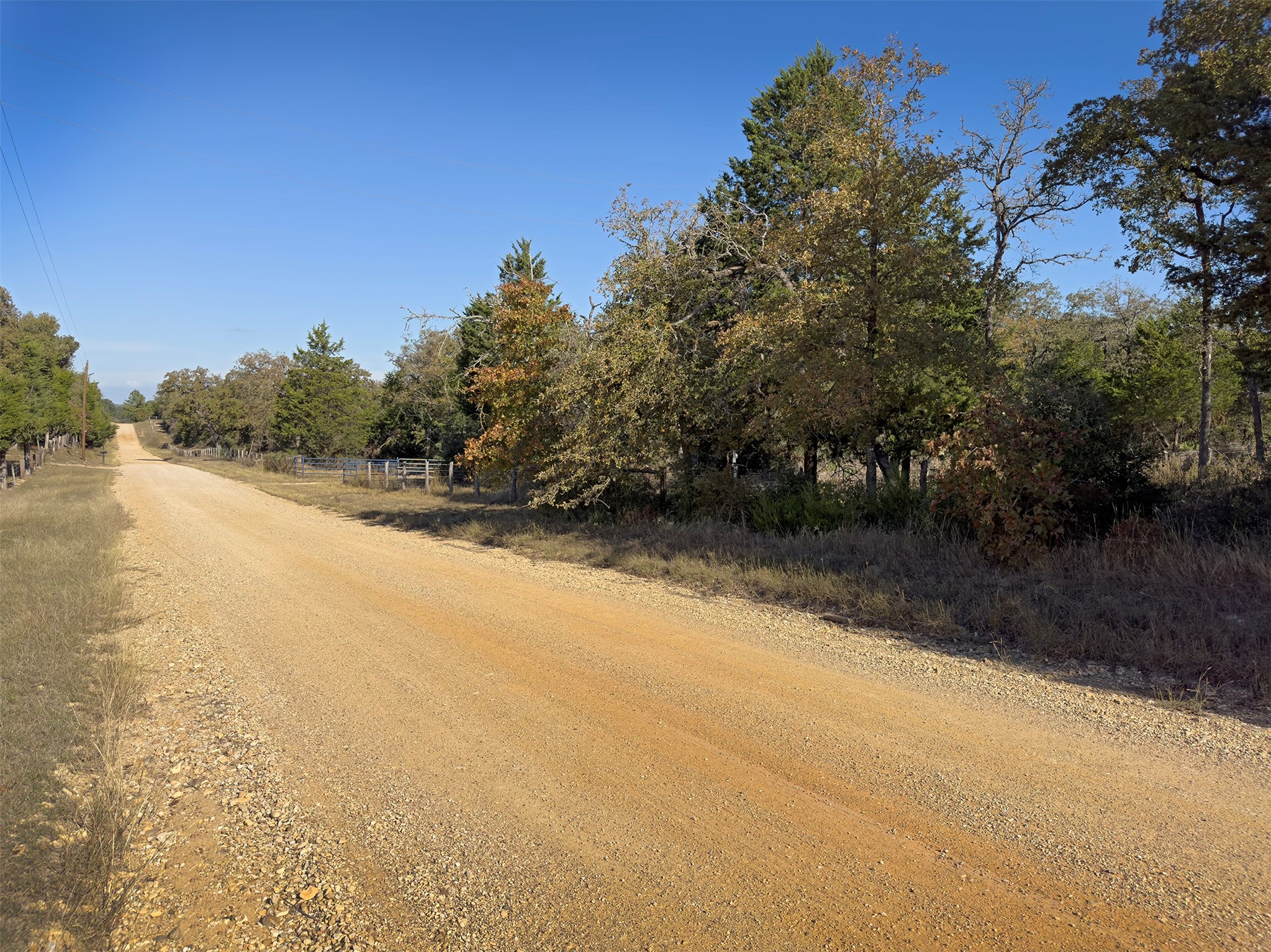 10429 County Road 313 Property Photo 6
