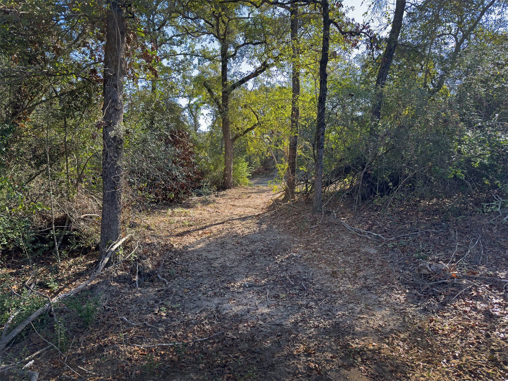 10429 County Road 313 Property Photo 8
