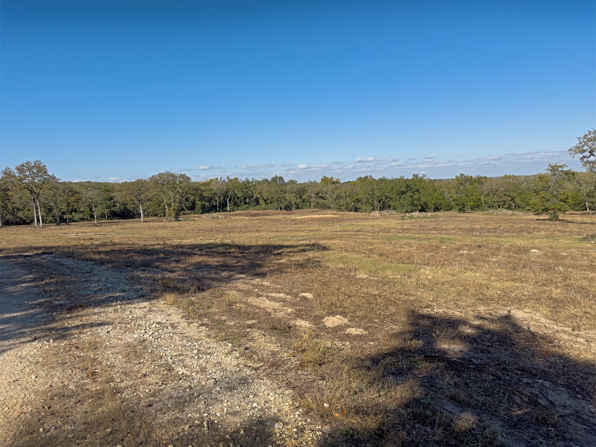 10429 County Road 313 Property Photo 9