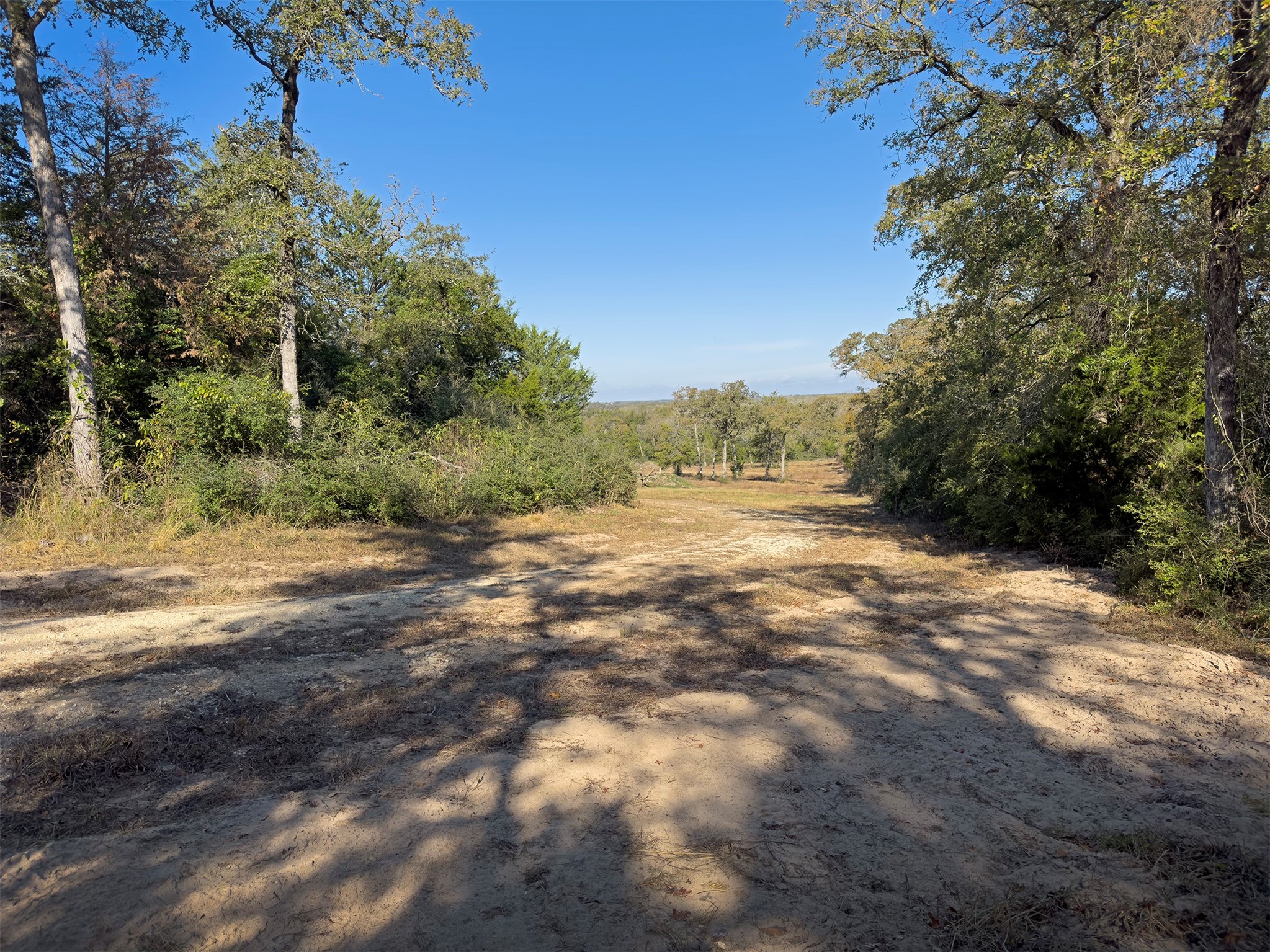 10429 County Road 313 Property Photo 10