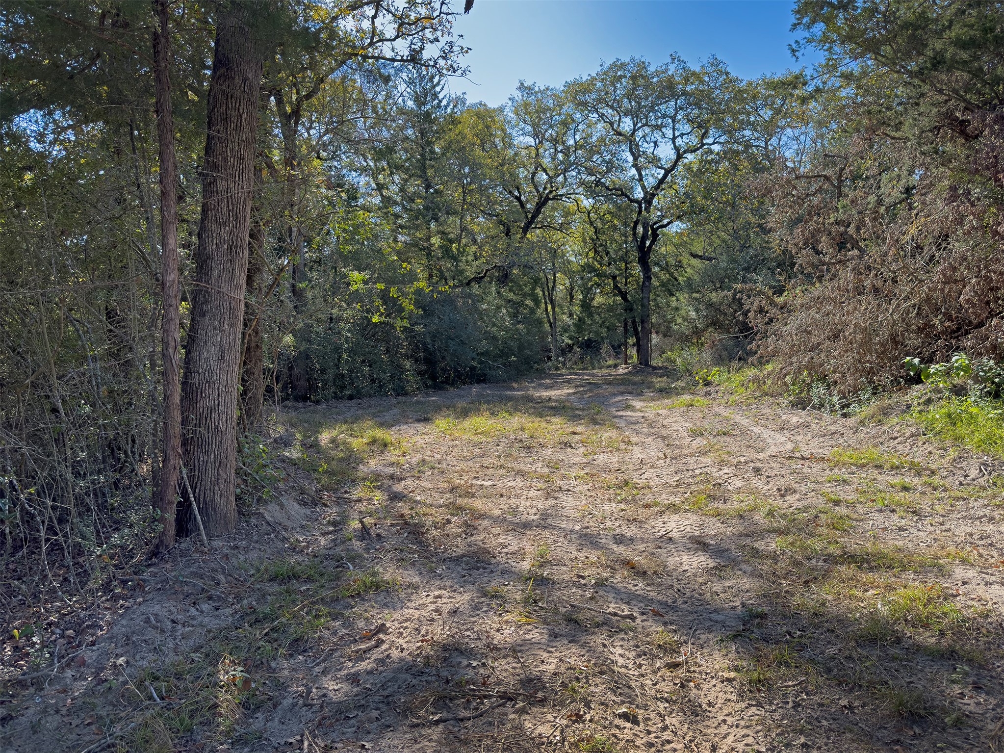 10429 County Road 313 Property Photo 11
