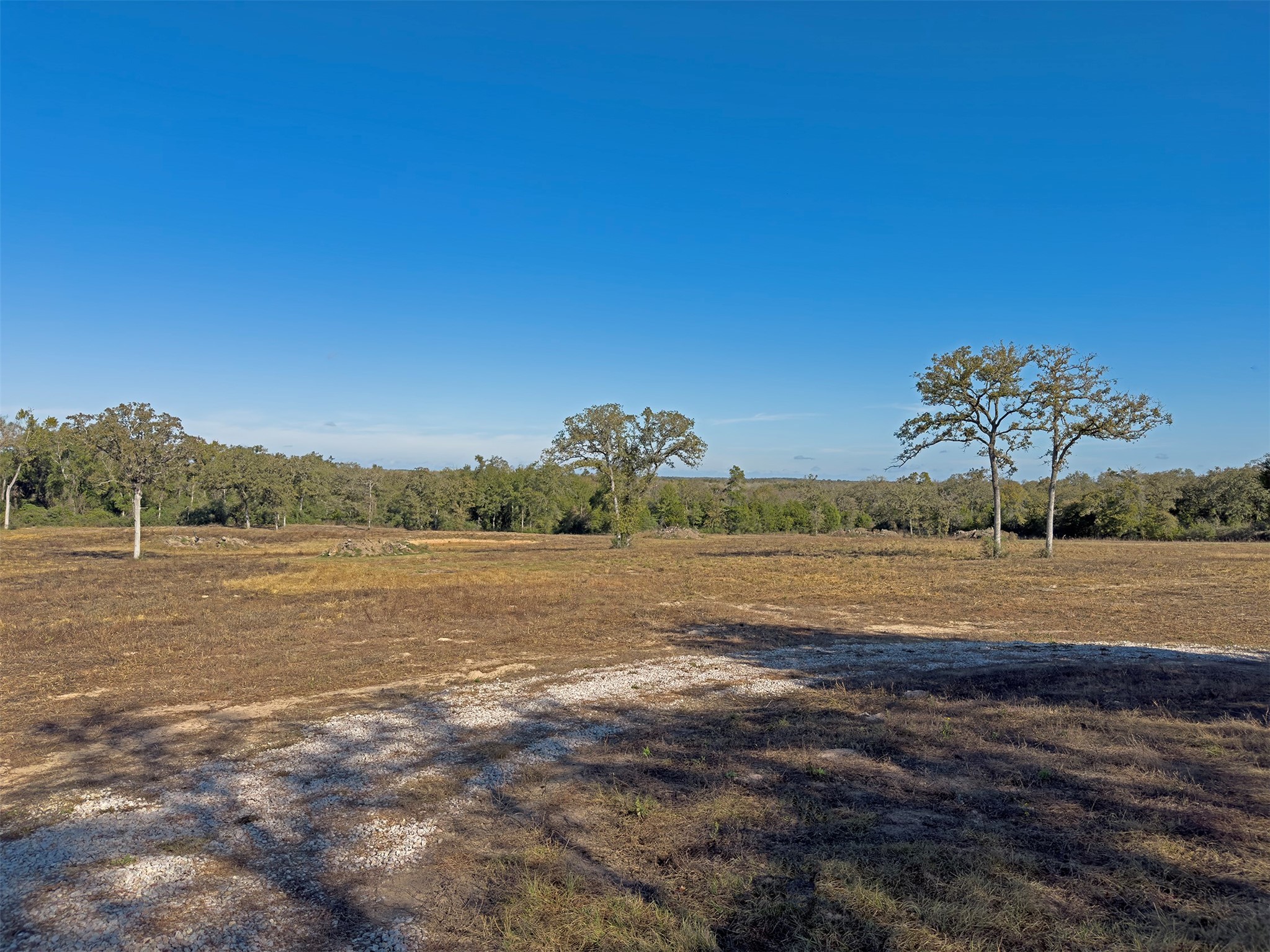 10429 County Road 313 Property Photo 12