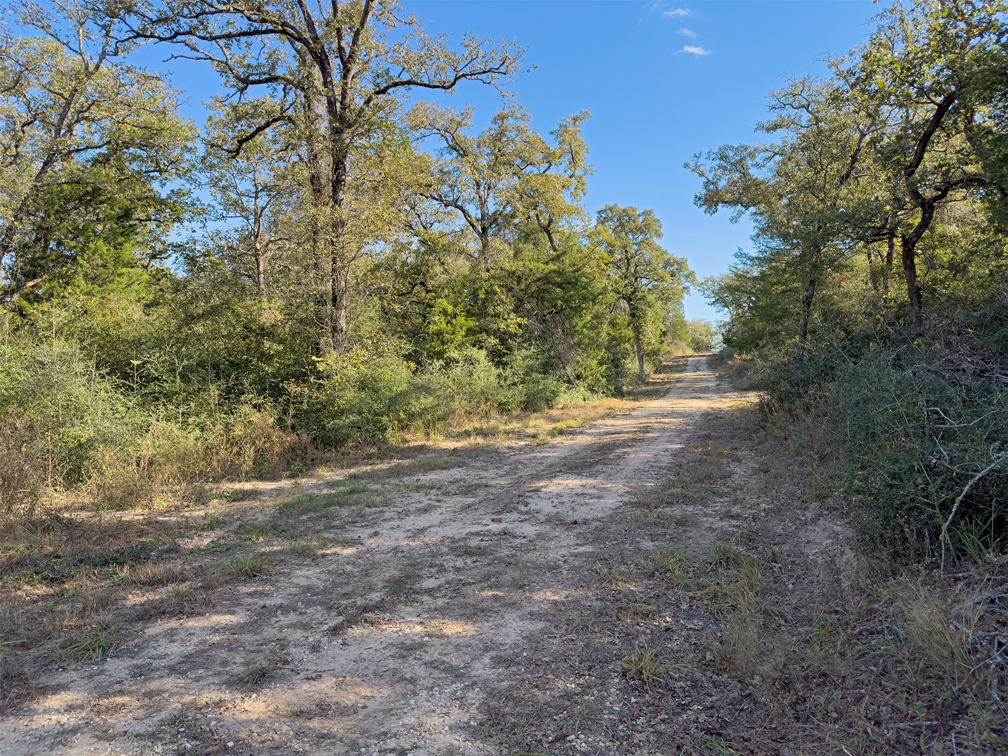 10429 County Road 313 Property Photo 13