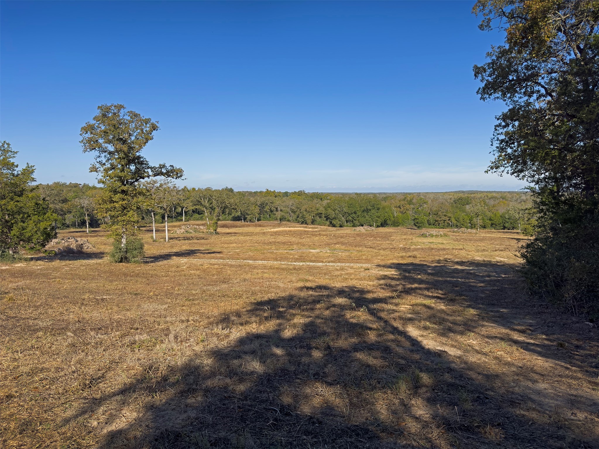 10429 County Road 313 Property Photo 16