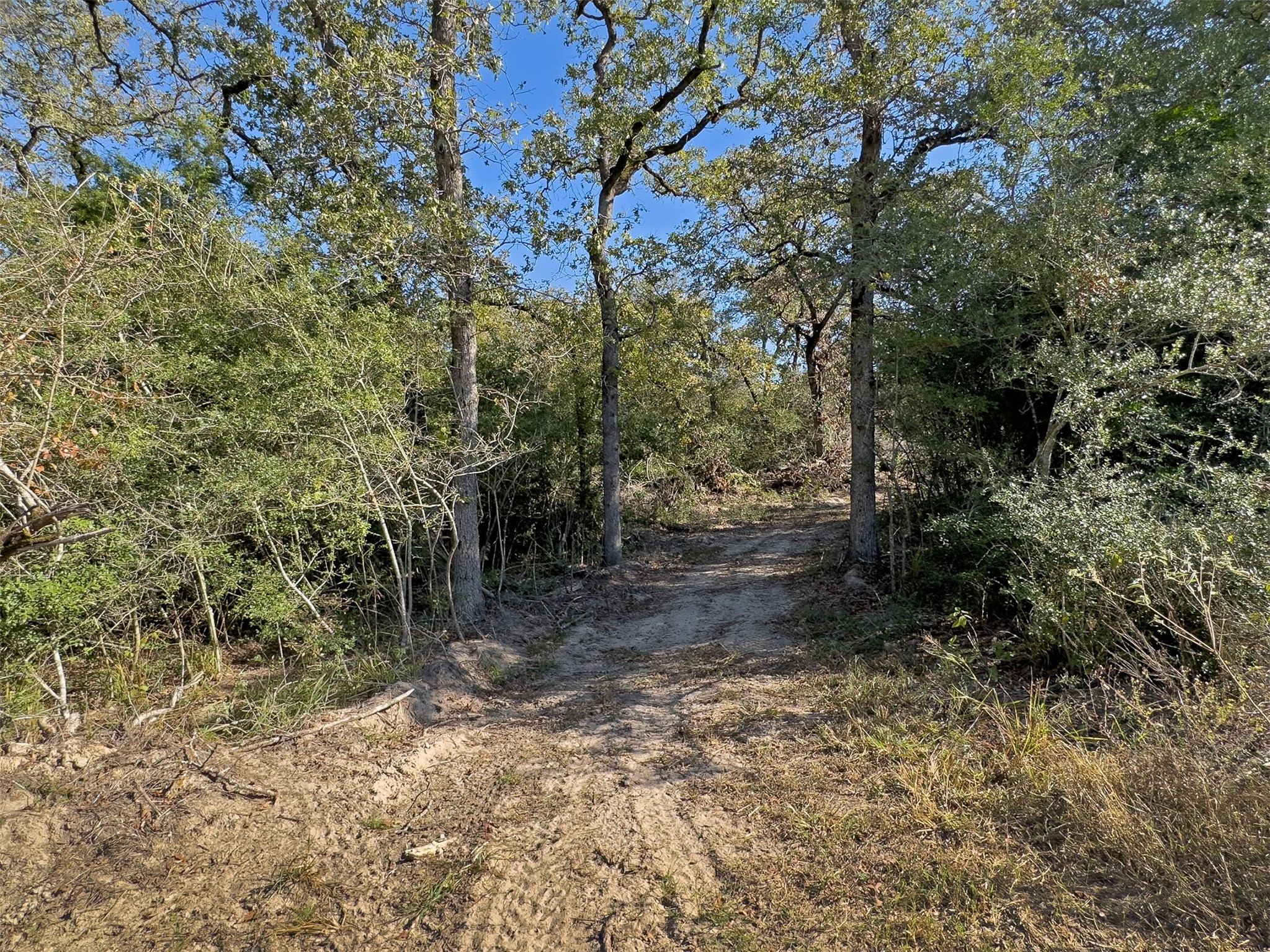 10429 County Road 313 Property Photo 17