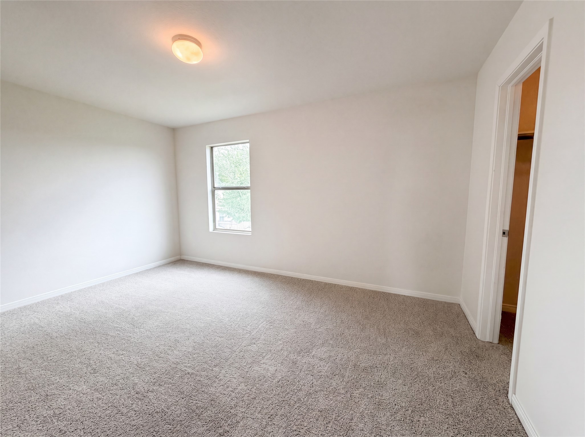 847 Canyon Hill Lane Property Photo 17
