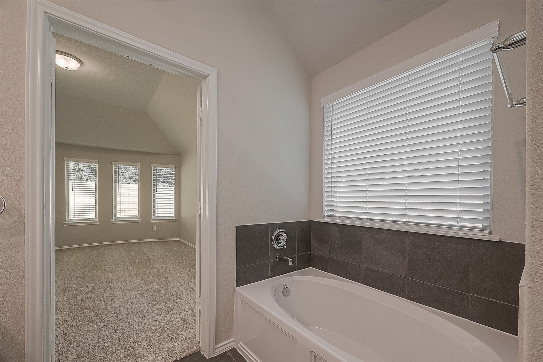 32045 Towering Birch Trail Property Photo 22