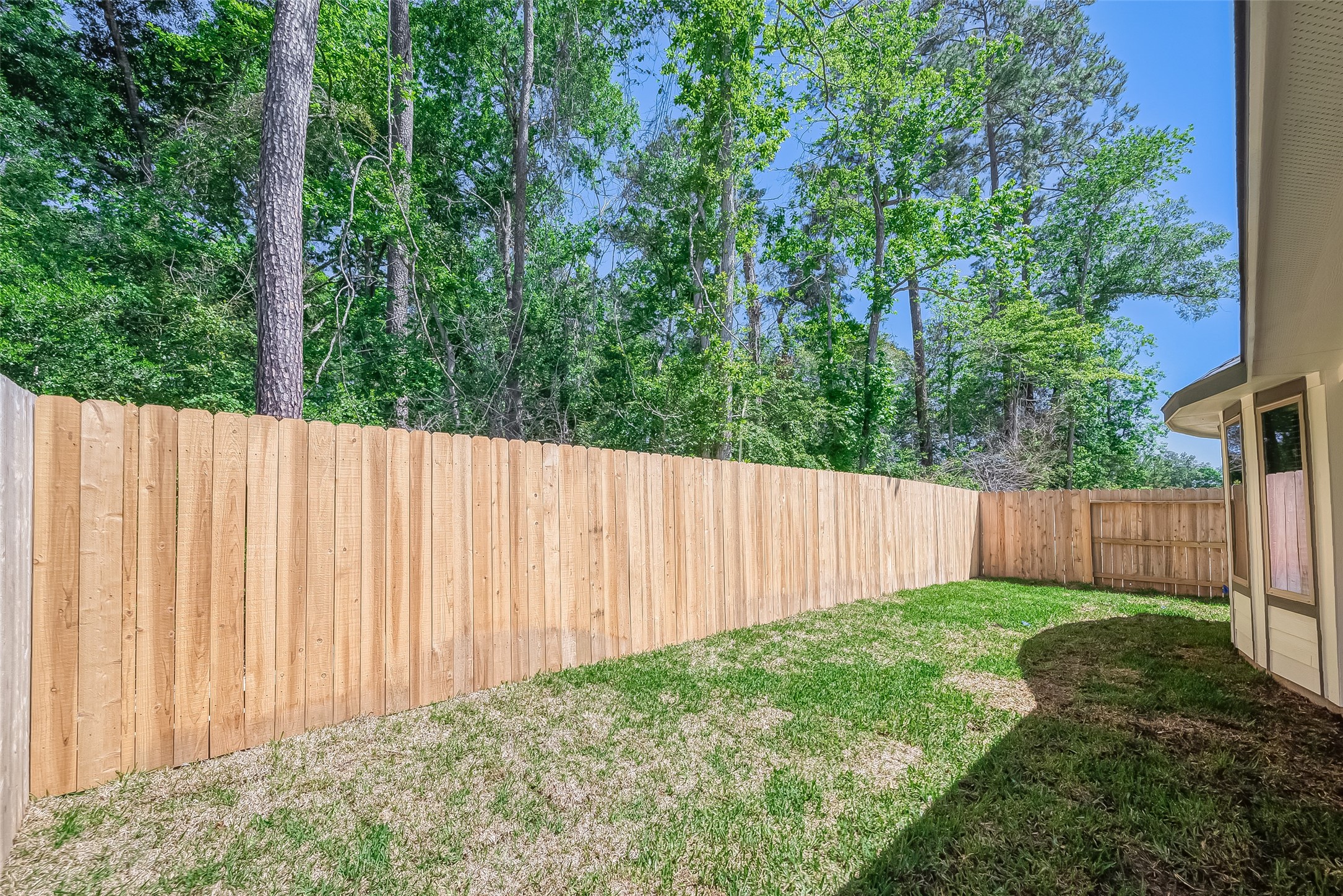 32045 Towering Birch Trail Property Photo 31