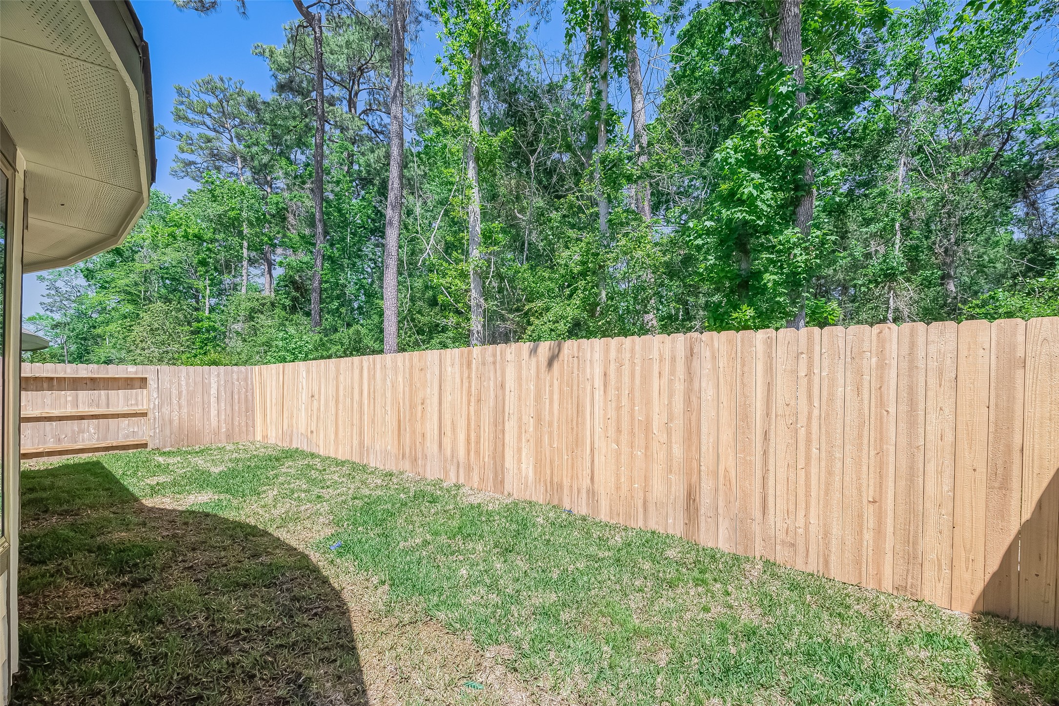 32045 Towering Birch Trail Property Photo 34