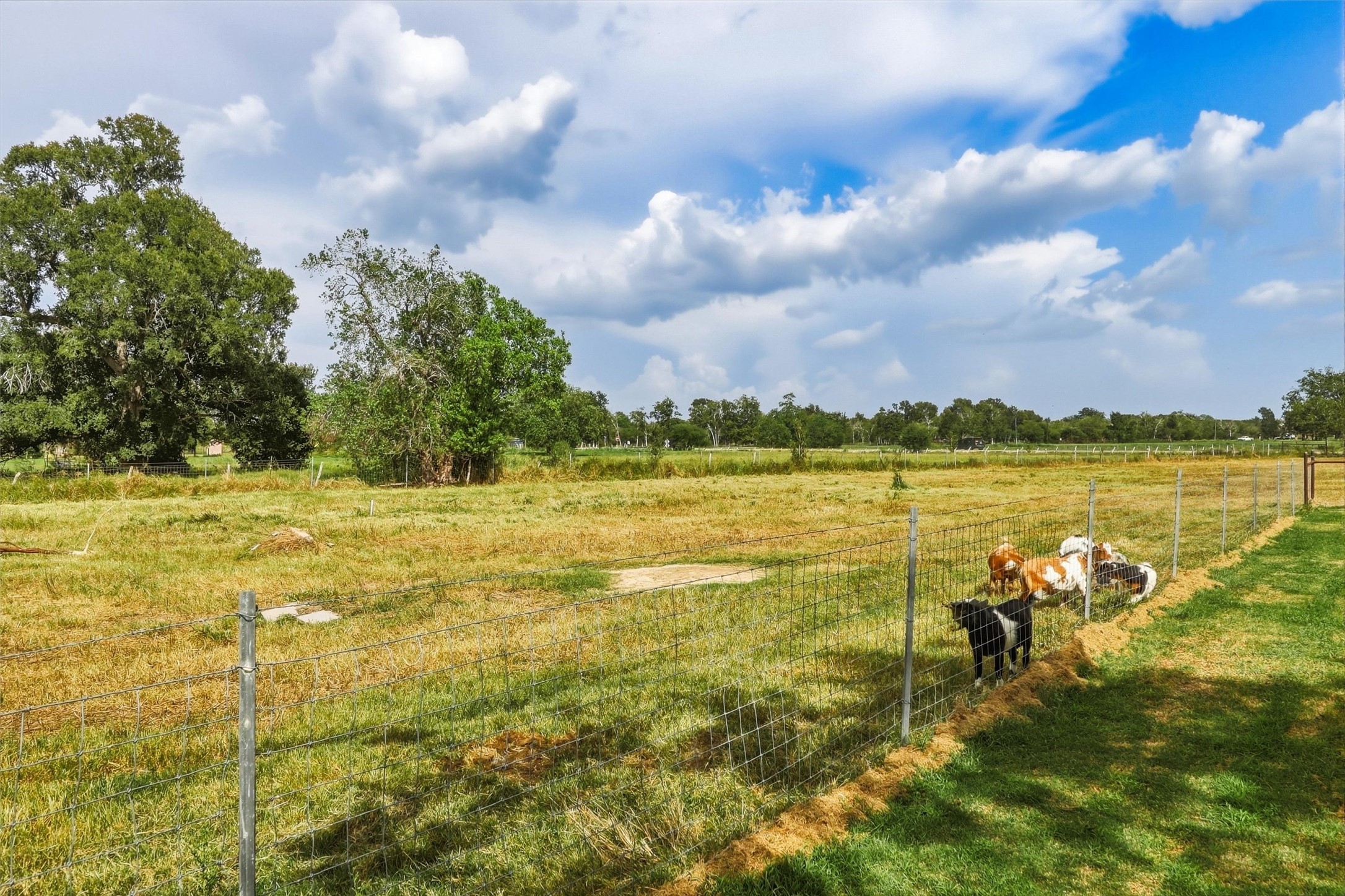 1792 Stockold Road Property Photo 37
