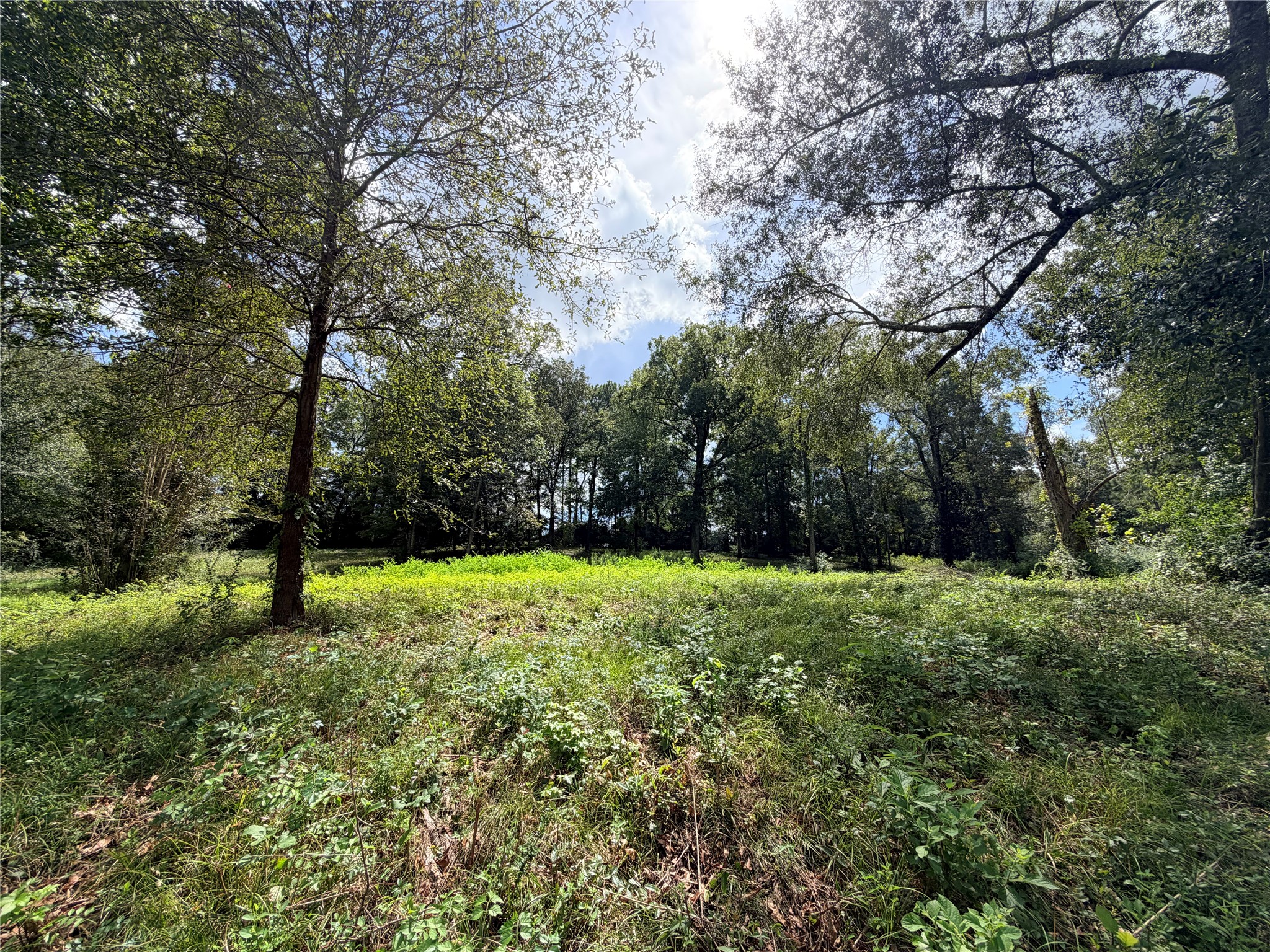 2049 Us Highway 190 W Property Photo 1