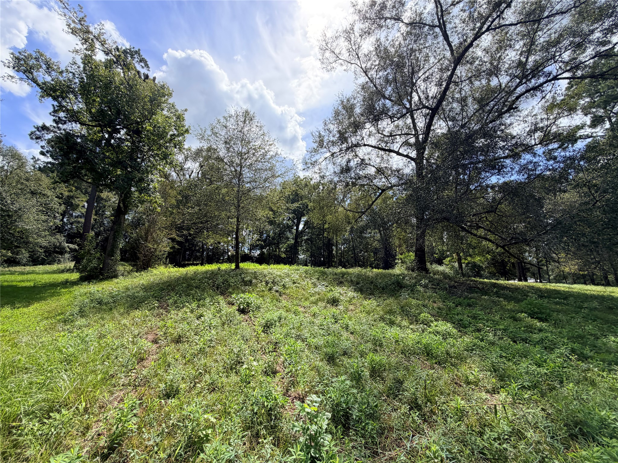2049 Us Highway 190 W Property Photo 3