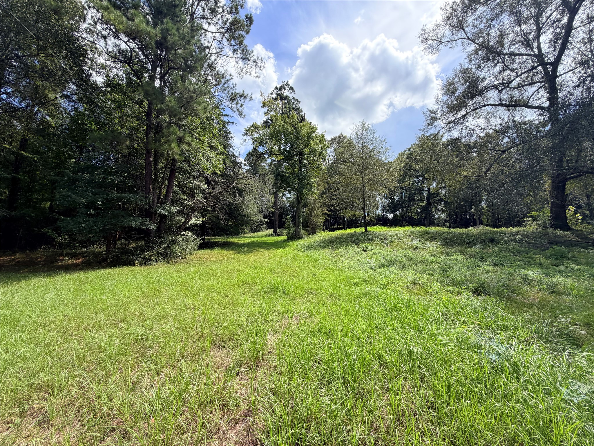 2049 Us Highway 190 W Property Photo 5