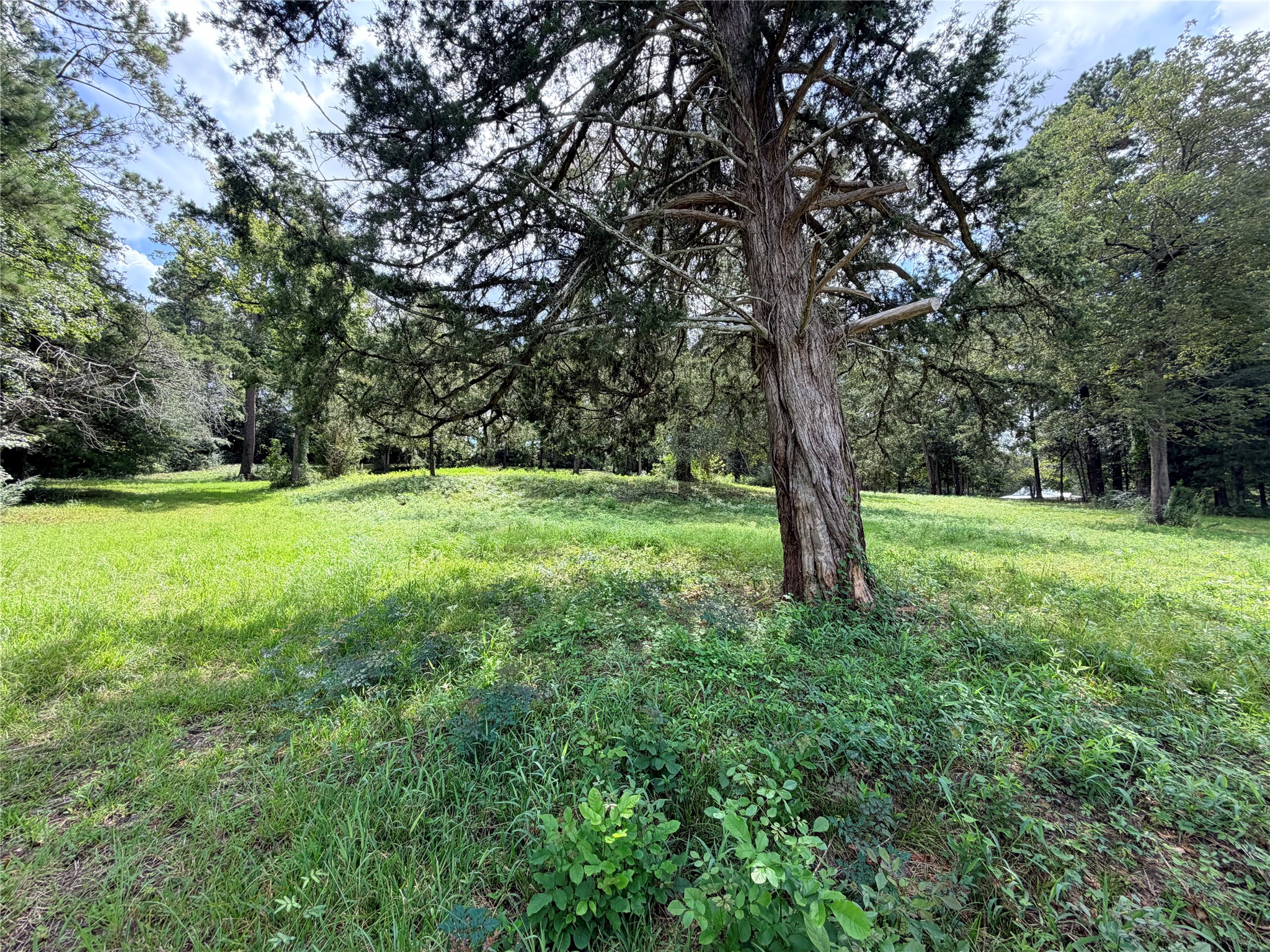 2049 Us Highway 190 W Property Photo 6