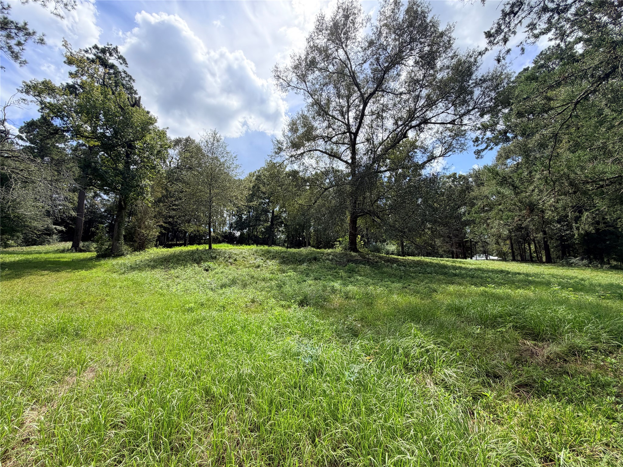 2049 Us Highway 190 W Property Photo 8