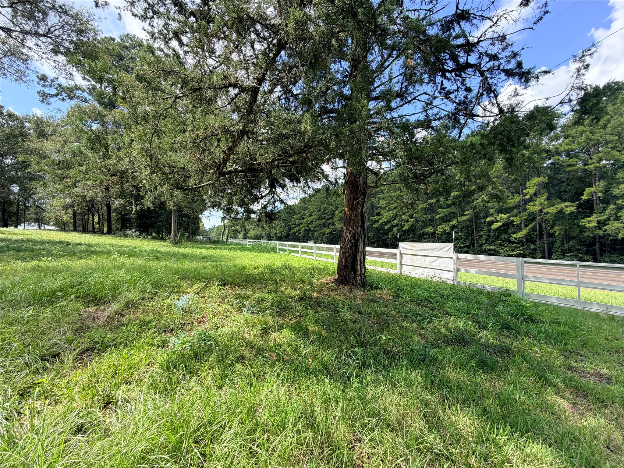2049 Us Highway 190 W Property Photo 9