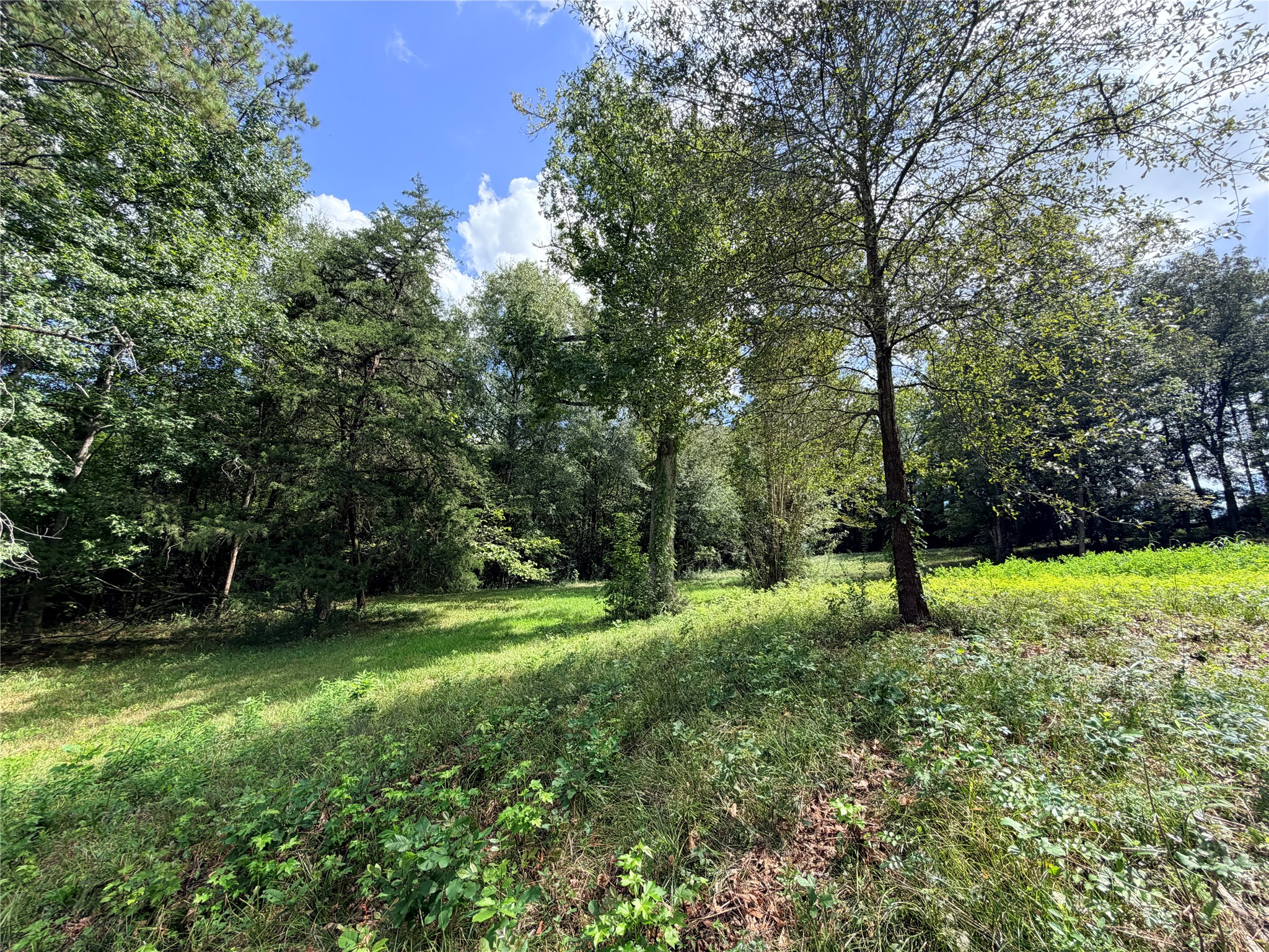 2049 Us Highway 190 W Property Photo 10