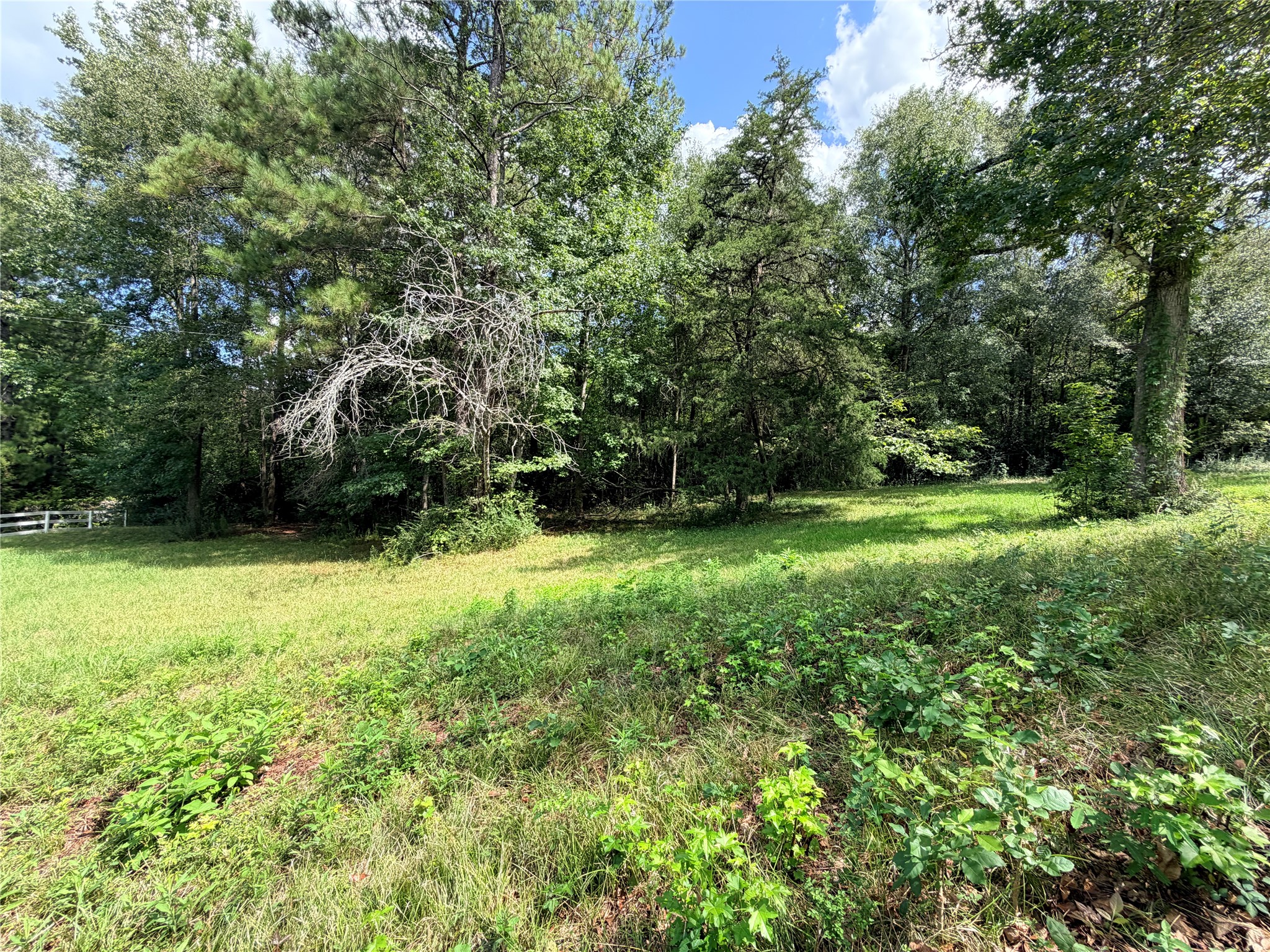 2049 Us Highway 190 W Property Photo 11