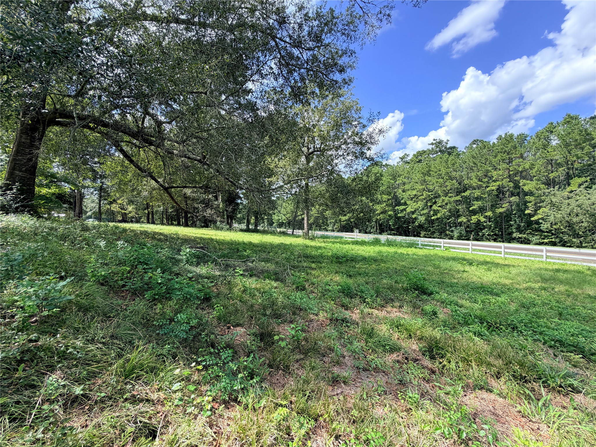 2049 Us Highway 190 W Property Photo 12