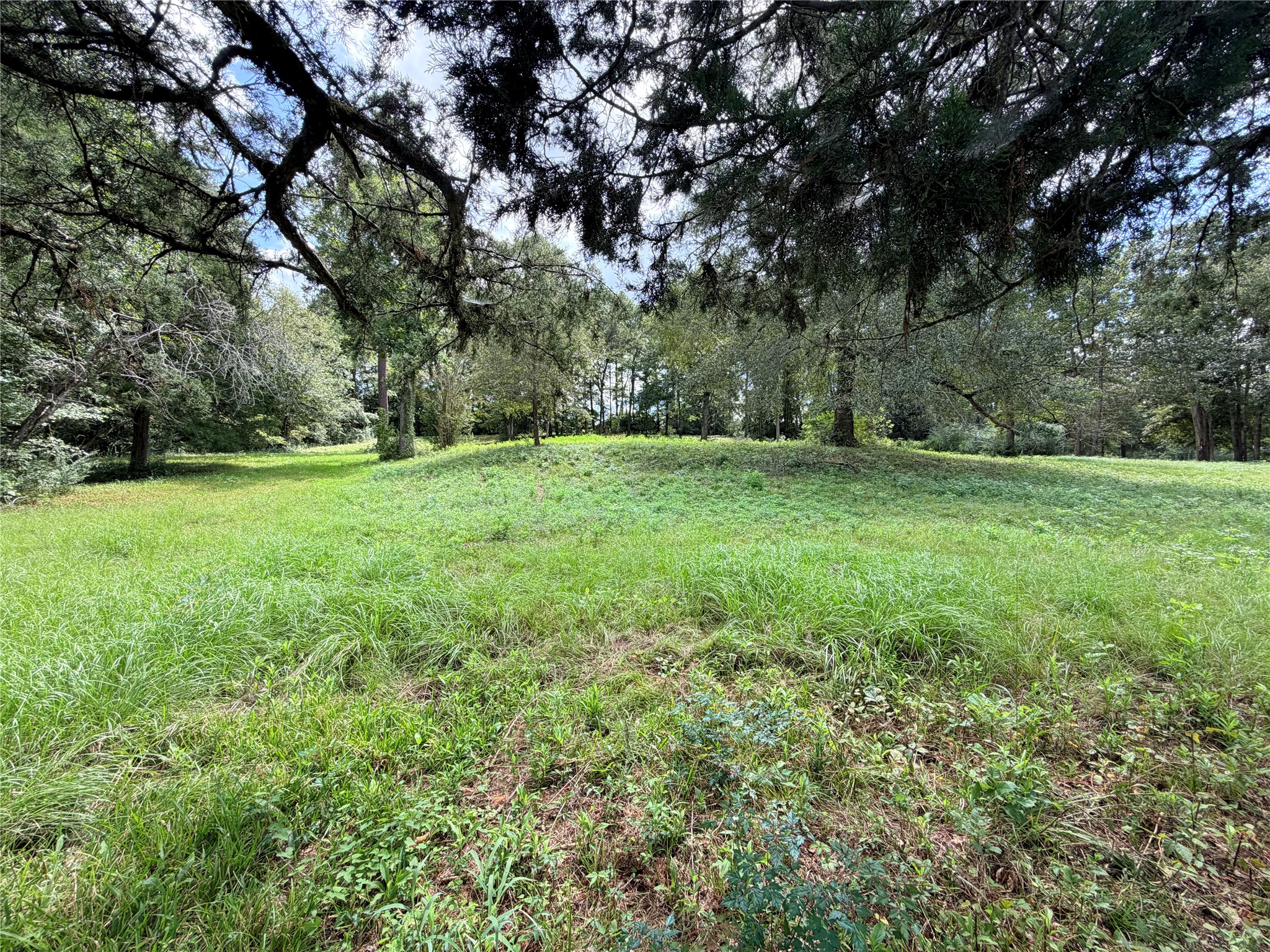 2049 Us Highway 190 W Property Photo 15