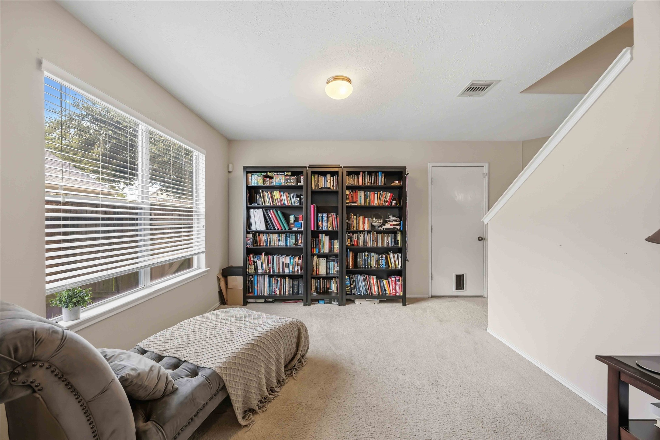 2763 Star Peak Drive Property Photo 9