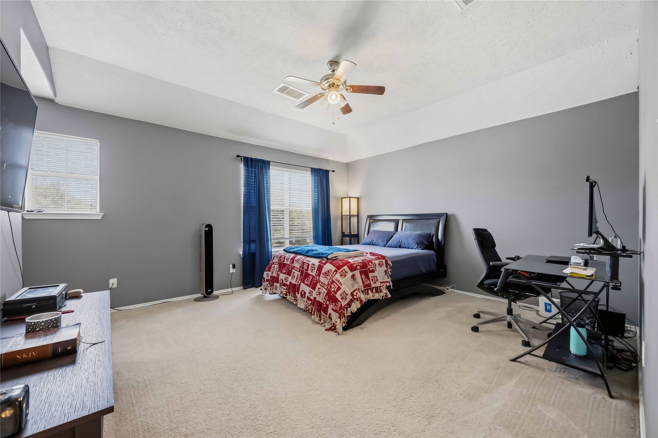 2763 Star Peak Drive Property Photo 16