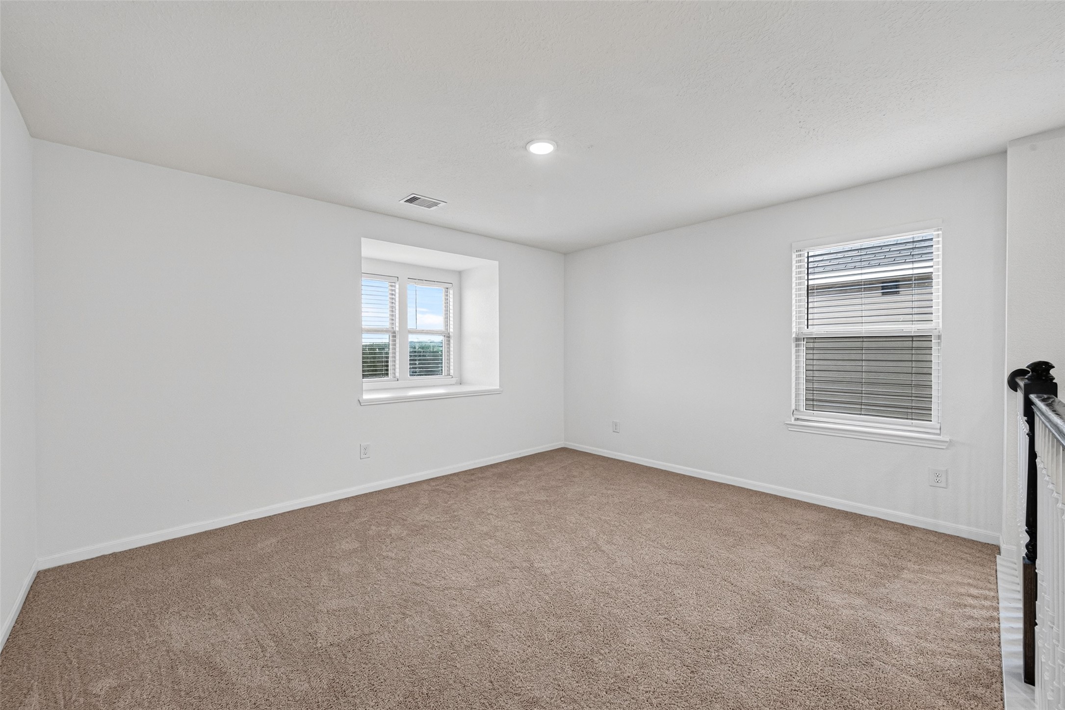 25319 Whitehaven Gate Street Property Photo 17