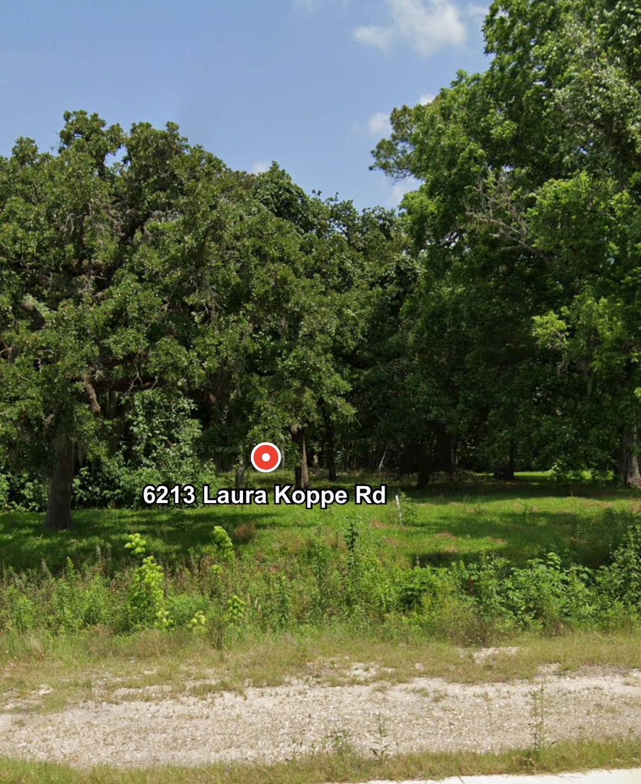 6213 Laura Koppe Road Property Photo 10