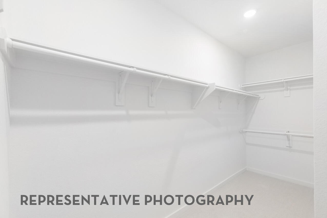 2414 Guava Hills Lane Property Photo 29