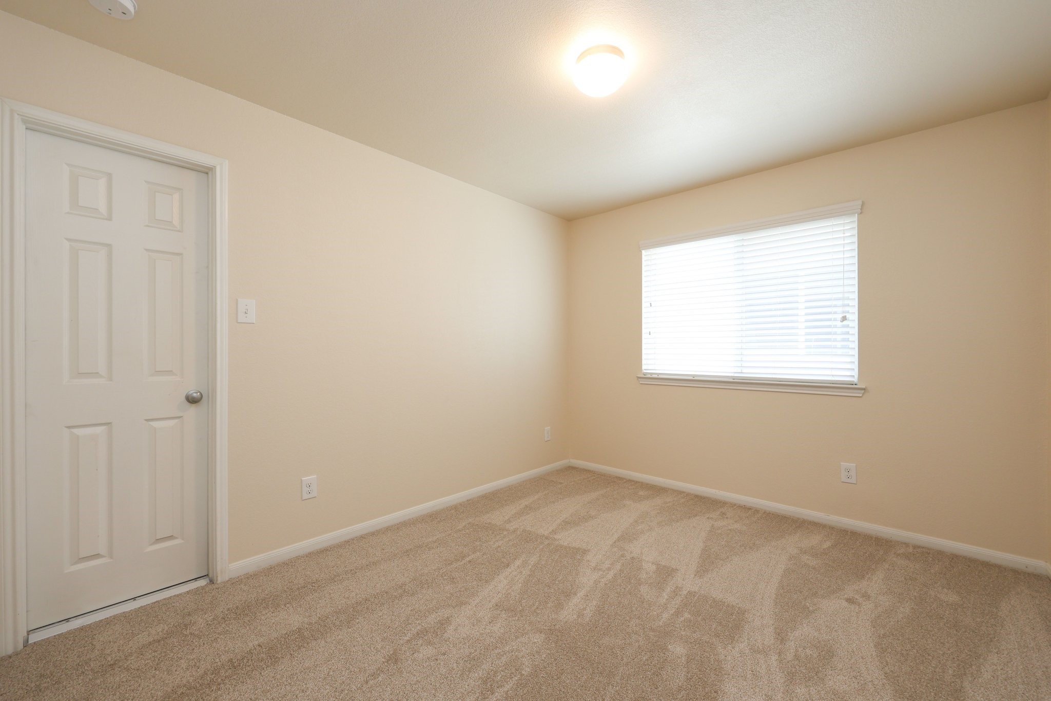 4155 Falvel Cove Drive Property Photo 10