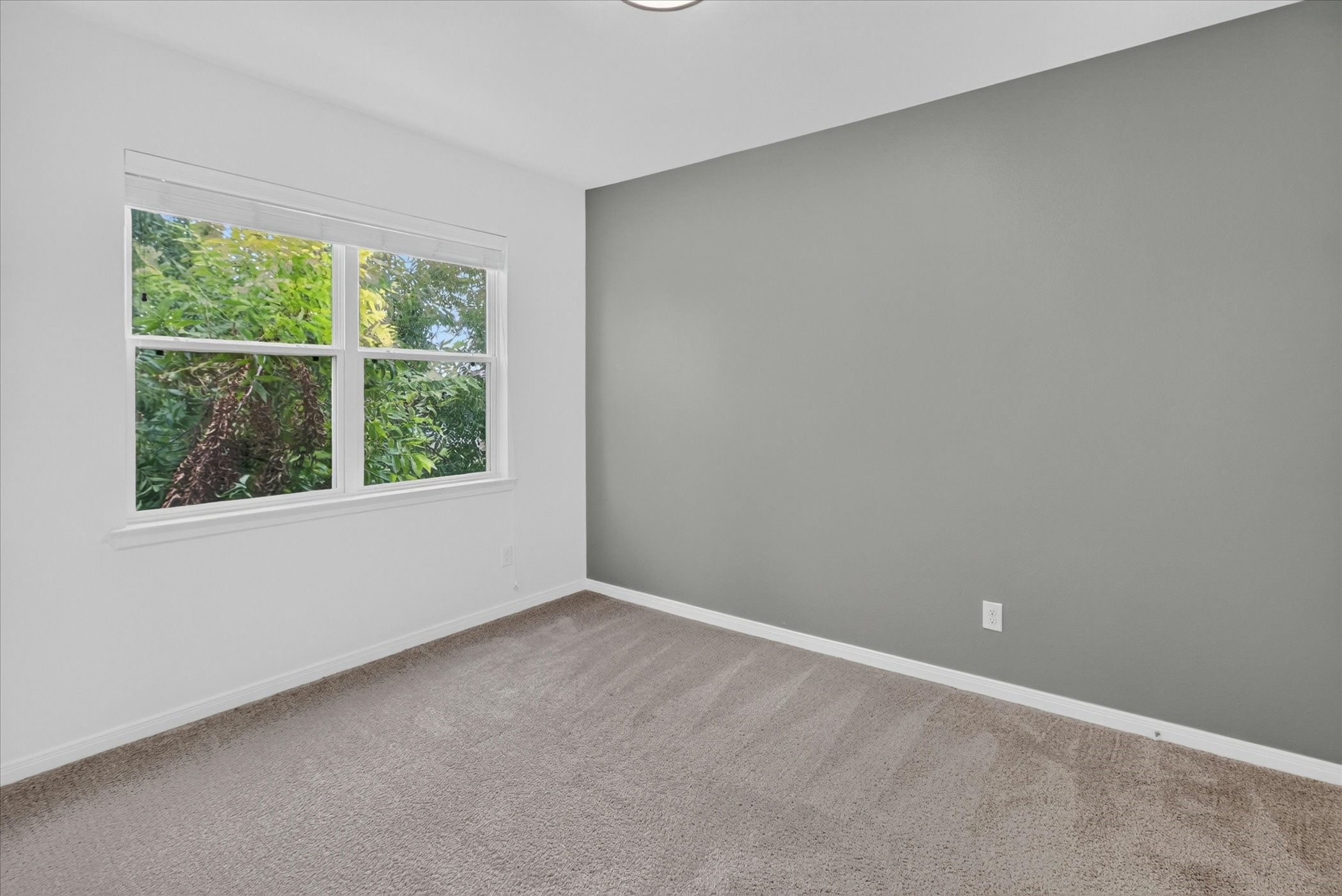 1526 Ojeman Road C Property Photo 18
