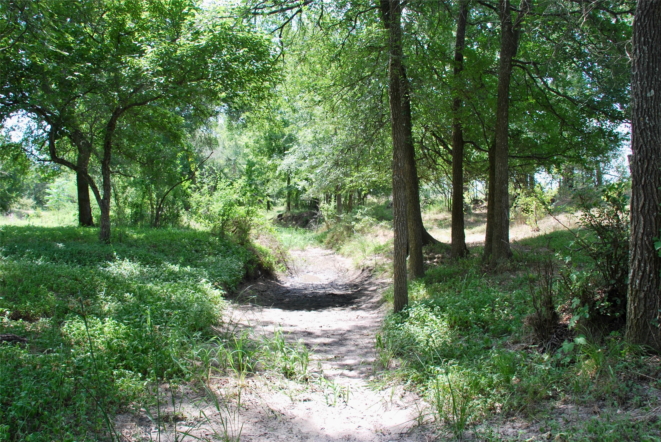 1706 Slaughter House Road Property Photo 35