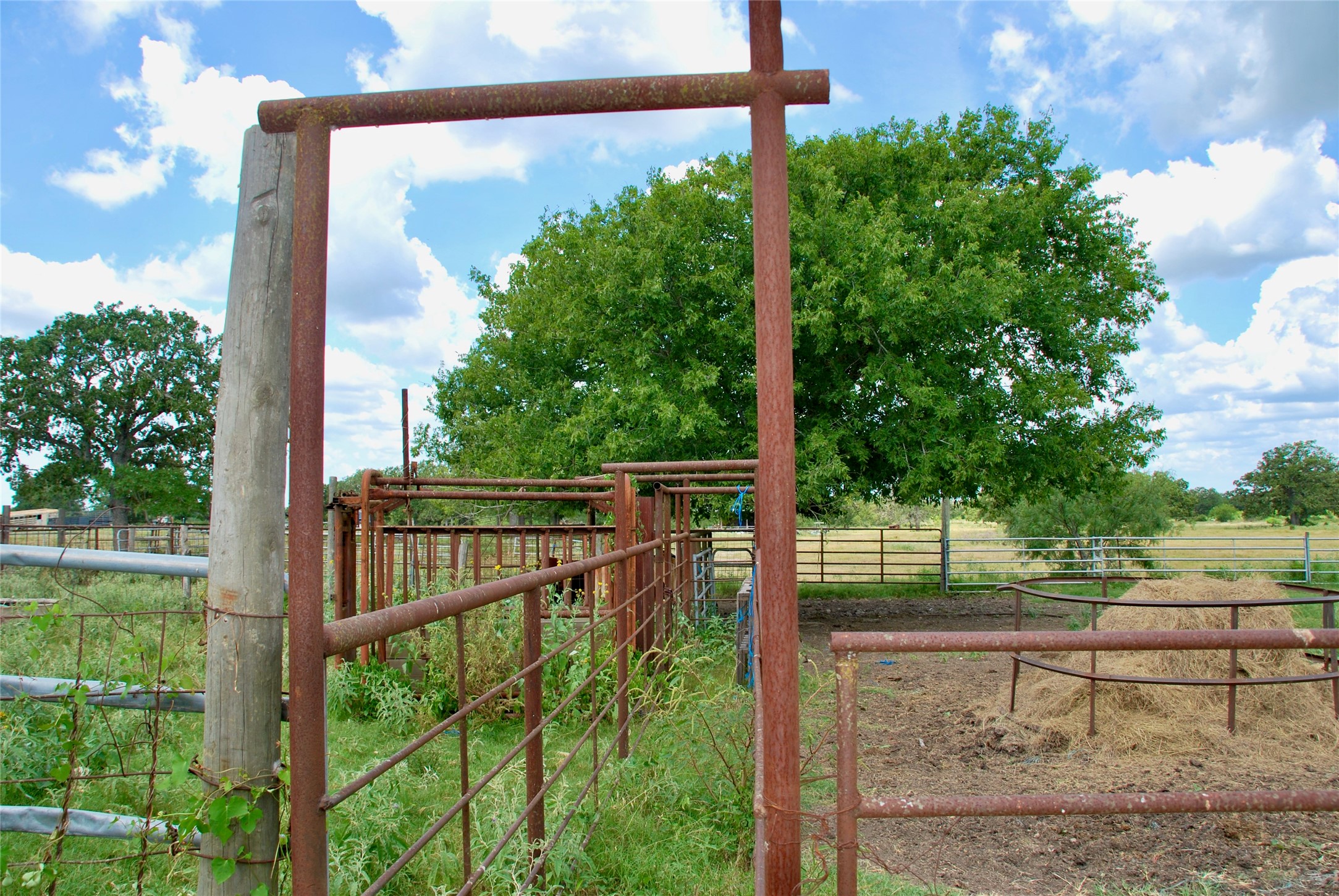 1706 Slaughter House Road Property Photo 37