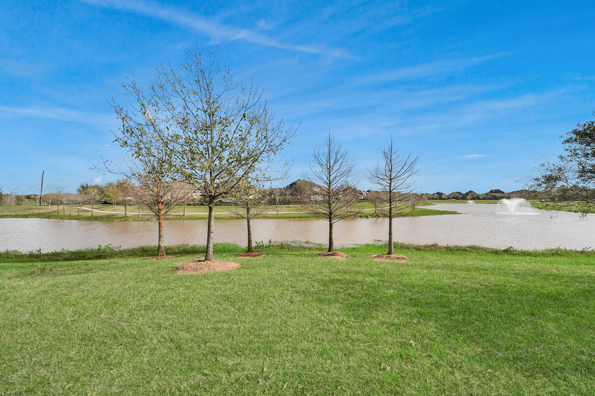 3502 Poppy Point Court Property Photo 38