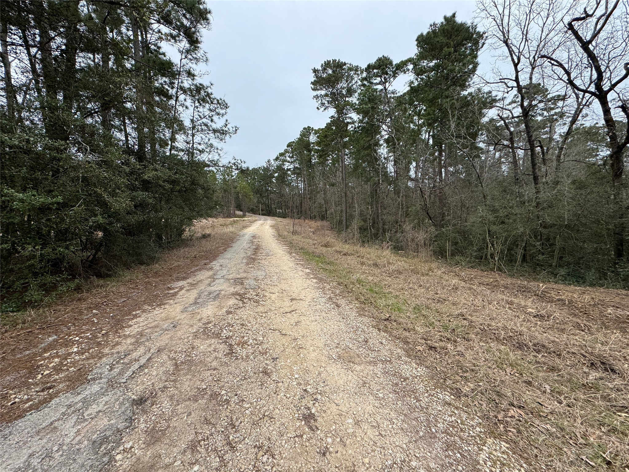 Lot 69 Wildwood Harbor Circle Property Photo 6