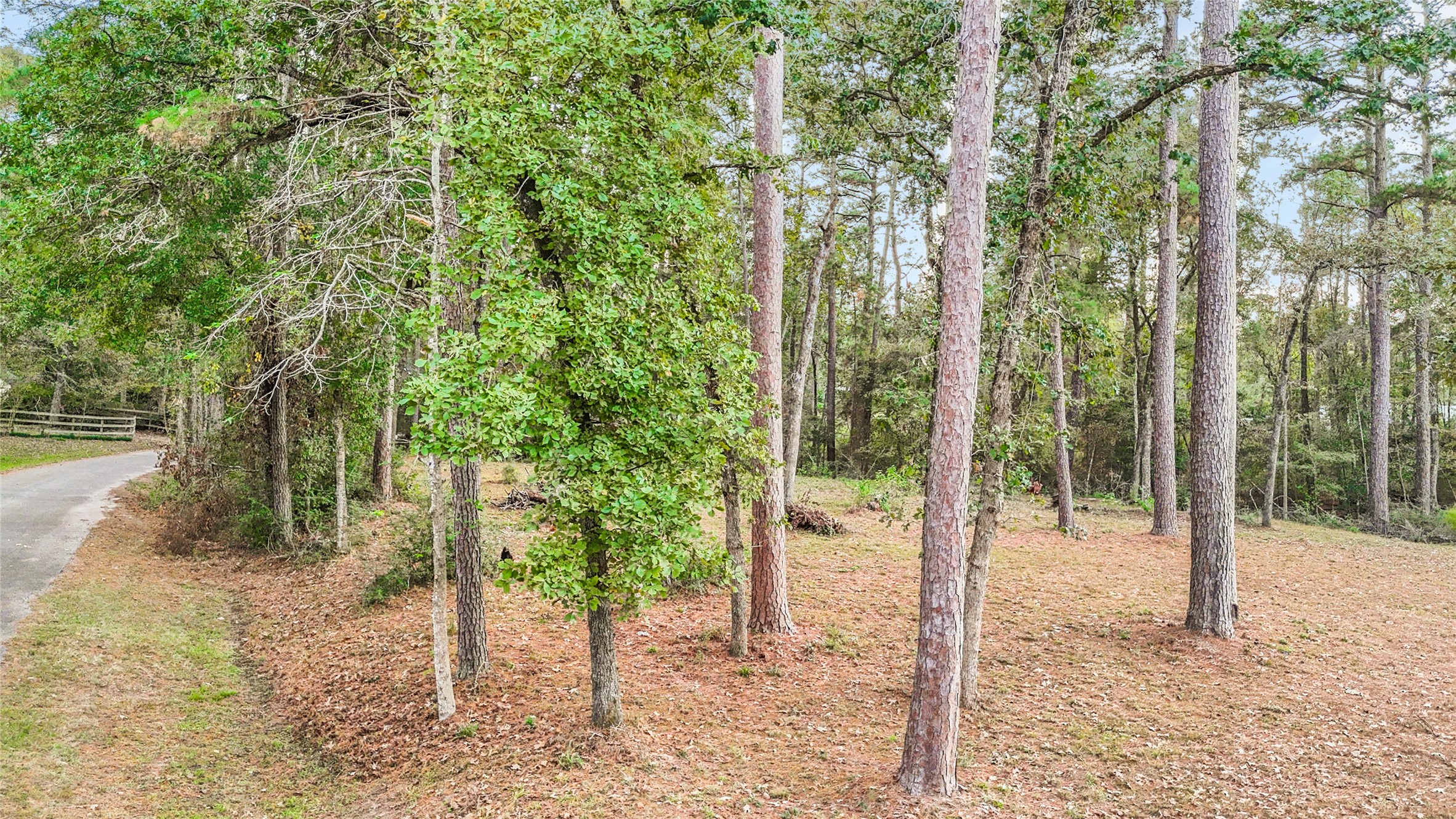 0 Mink Lake Dr Property Photo 9