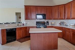 15010 Wildberry Creek Court Property Photo 12