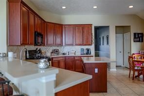 15010 Wildberry Creek Court Property Photo 14