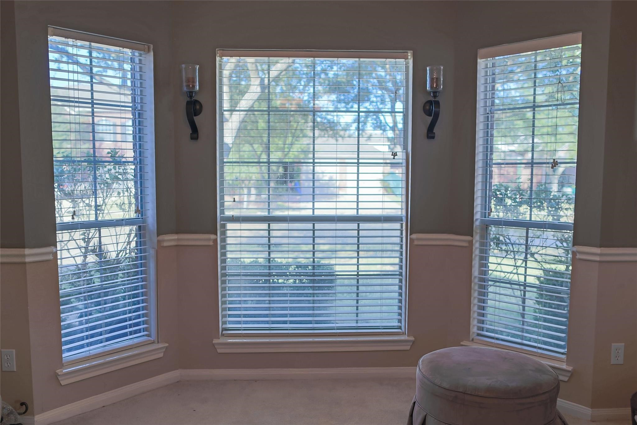 15010 Wildberry Creek Court Property Photo 16