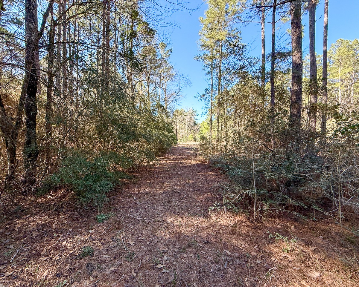 47 Copperleaf Rd Property Photo 5