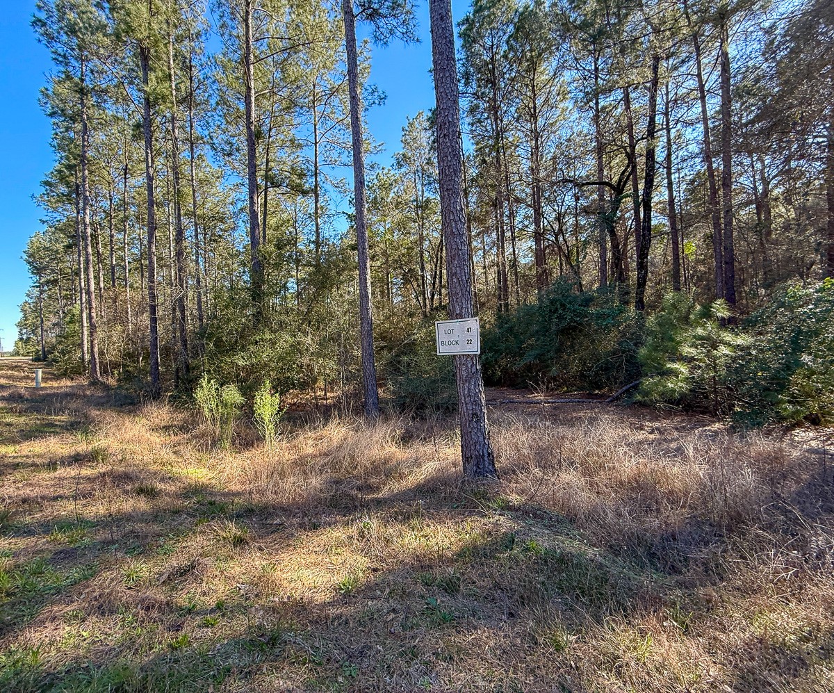 47 Copperleaf Rd Property Photo 6