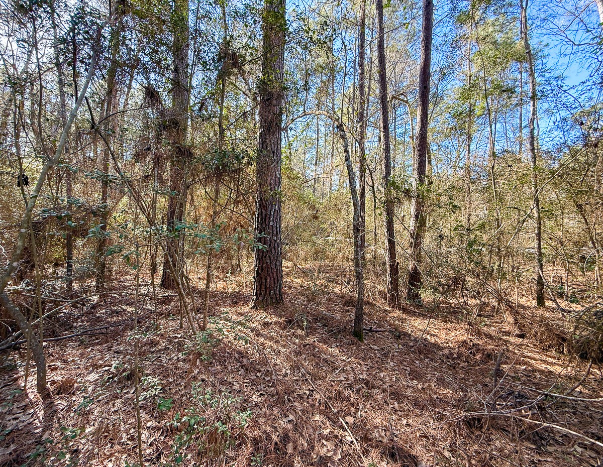 47 Copperleaf Rd Property Photo 8