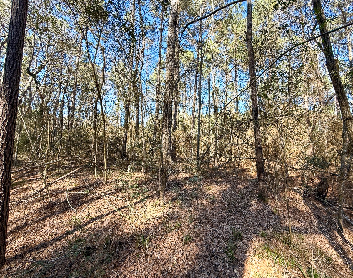47 Copperleaf Rd Property Photo 10