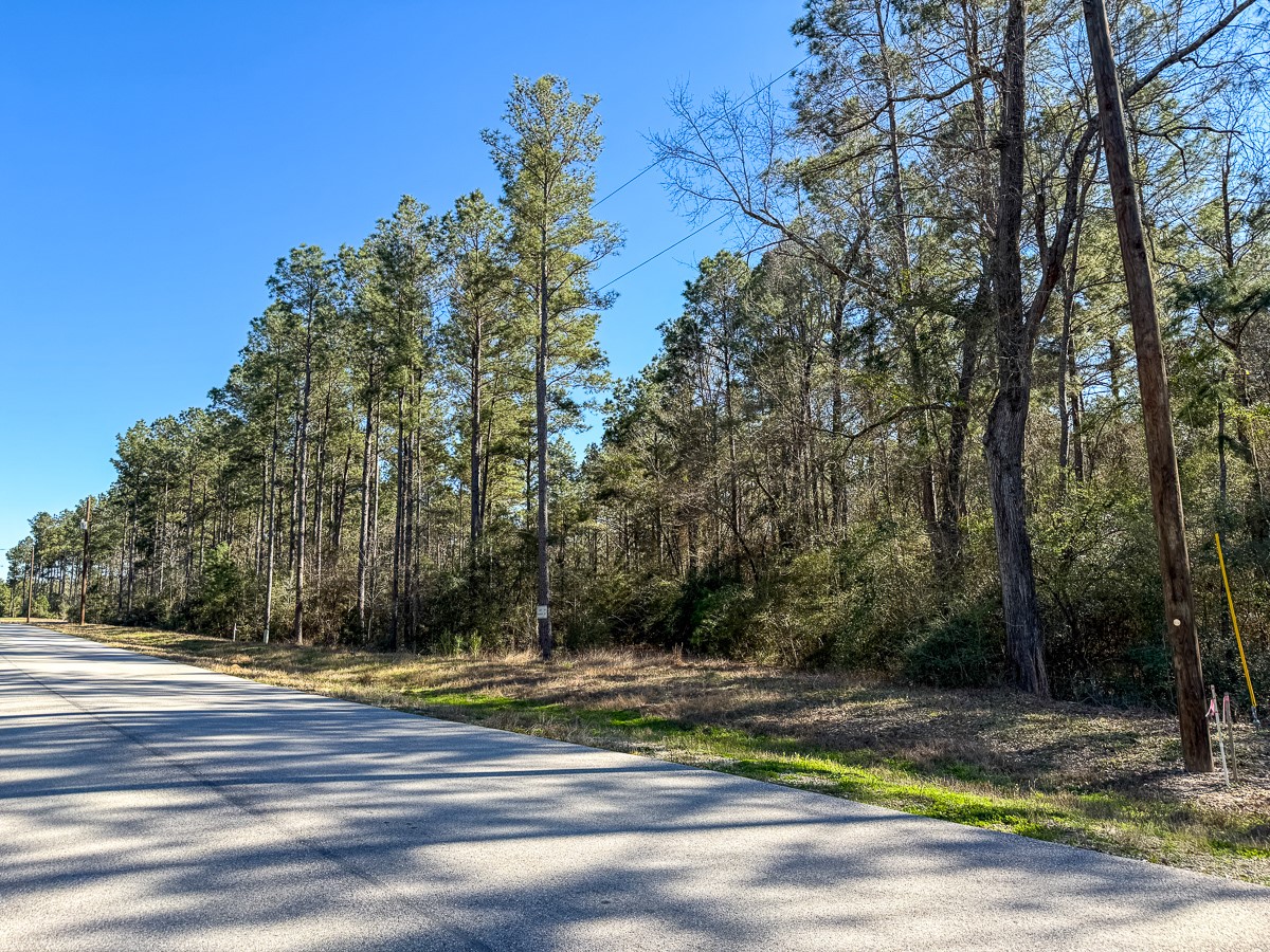 47 Copperleaf Rd Property Photo 11