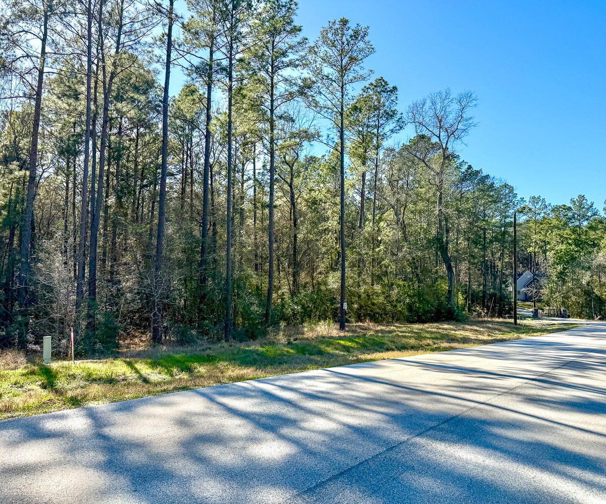 47 Copperleaf Rd Property Photo 12