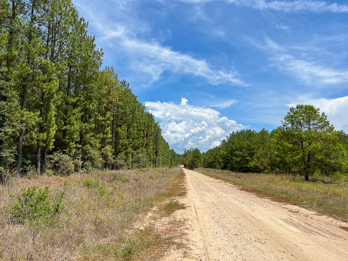0 Lost Indian Camp Road Property Photo 5