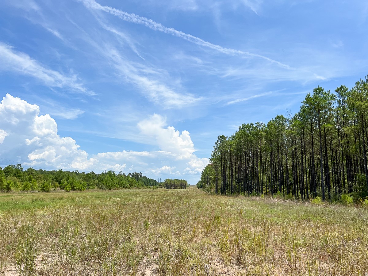 0 Lost Indian Camp Road Property Photo 6