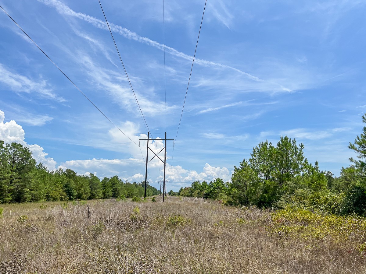 0 Lost Indian Camp Road Property Photo 7
