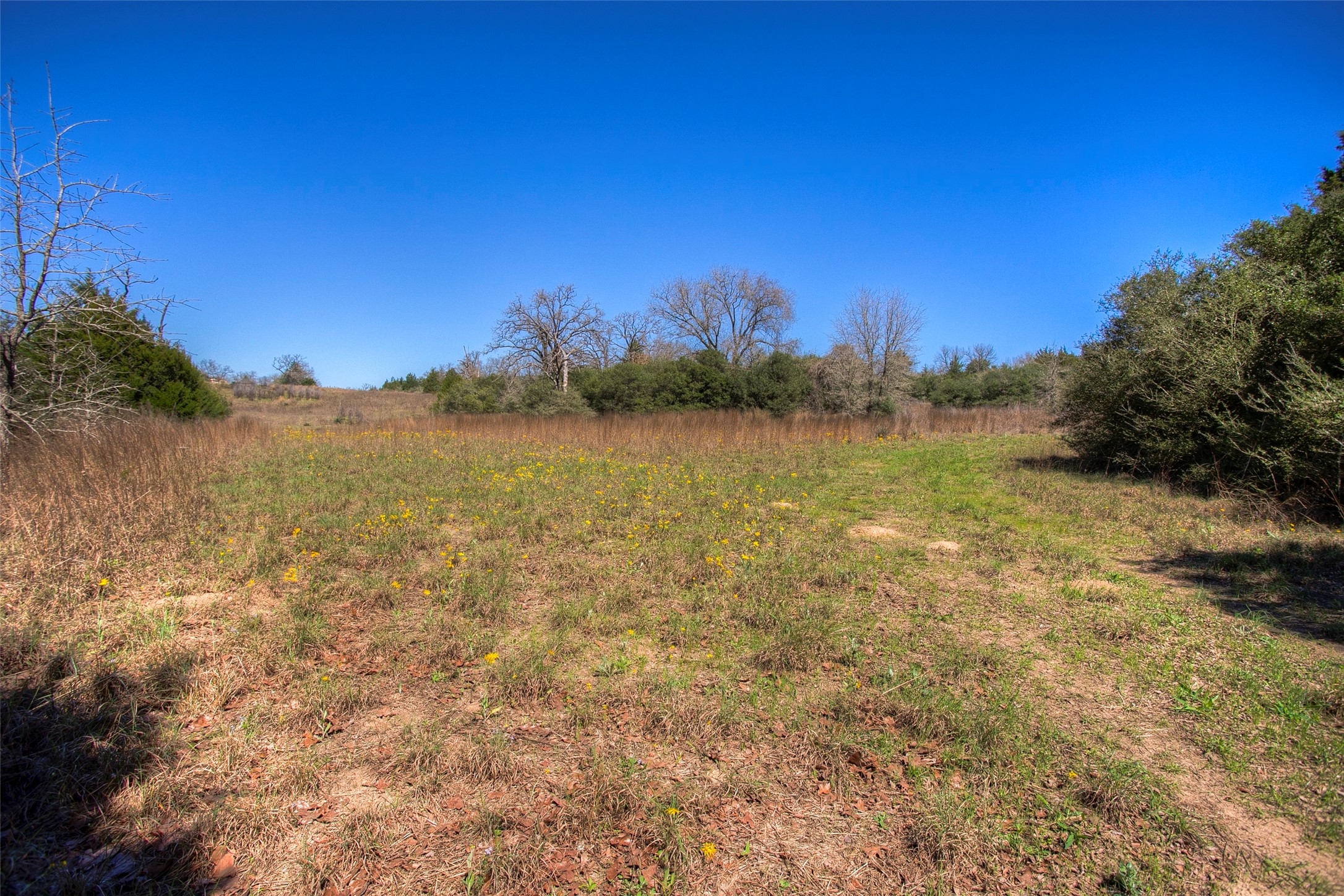Tbd County Road 482 Property Photo 36